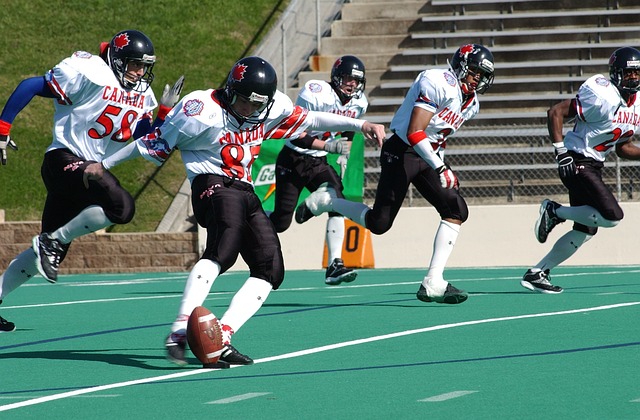 具有極高的 具有極高的