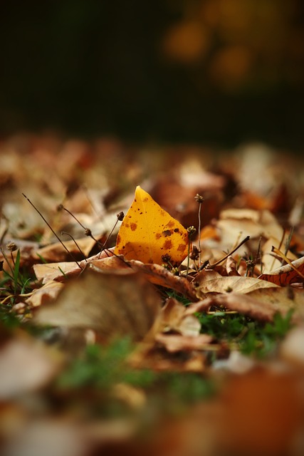 平台和支持 平台和支持