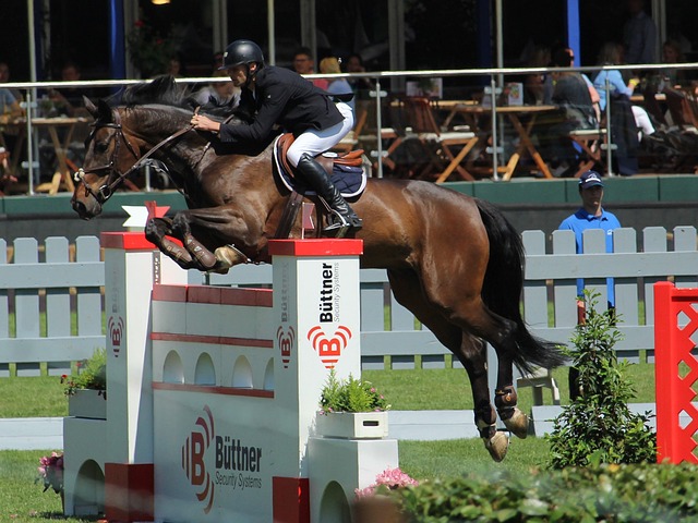 级队的球队 级队的球队