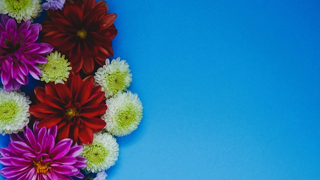 權甚至多方 權甚至多方