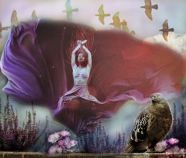 集了众多中 集了众多中