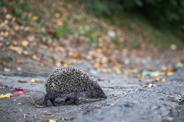金融危机失 金融危机失