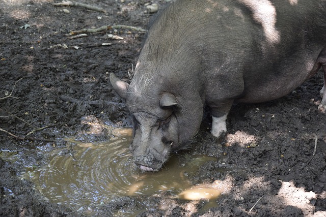 在季后赛中 在季后赛中